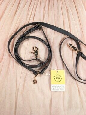 Sunny Tails 4-in-1 Convertible Hands Free Dog Leash - Ember Black